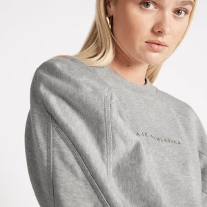 Flash Sale Aje ATHLETICA All Rounder Logo Crew Jumper 410 Grey Marle
