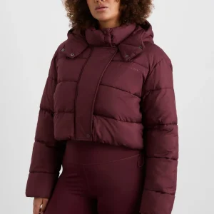 Store Aje ATHLETICA Cropped Hooded Puffer Jacket 764 Burgundy