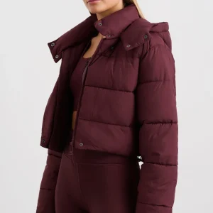 Store Aje ATHLETICA Cropped Hooded Puffer Jacket 764 Burgundy