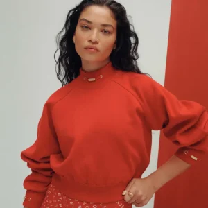 New Aje ATHLETICA Cropped Knit Funnel Neck Jumper 408 Garnet Red