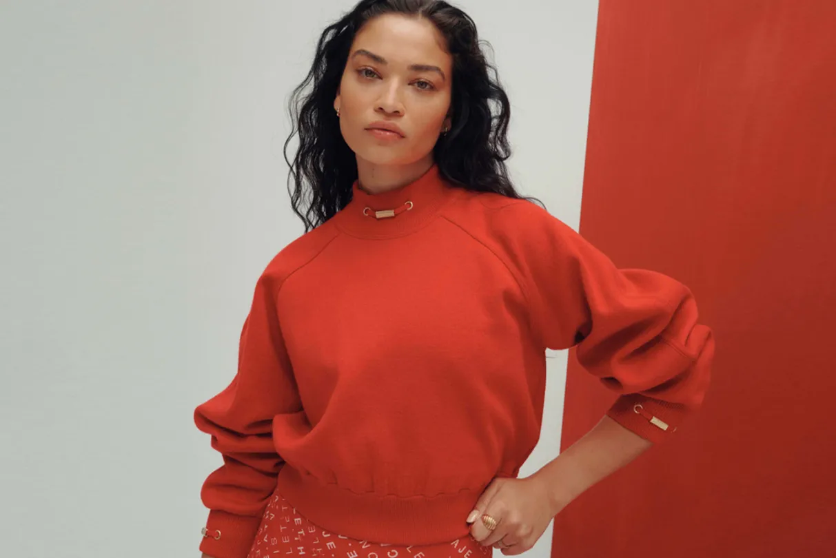 cropped_knit_funnel_neck_jumper__15.webp New Aje ATHLETICA Cropped Knit Funnel Neck Jumper 408 Garnet Red