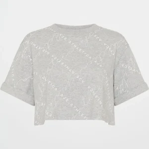Discount Aje ATHLETICA Cropped Tee 105 Grey Marle