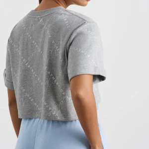 Discount Aje ATHLETICA Cropped Tee 105 Grey Marle