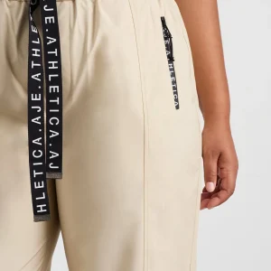 Clearance Aje ATHLETICA Spray Pants 505 Moonstone Grey